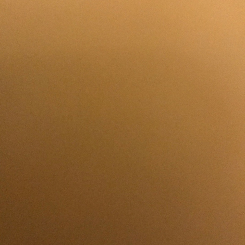 Meet your Posher, Sue